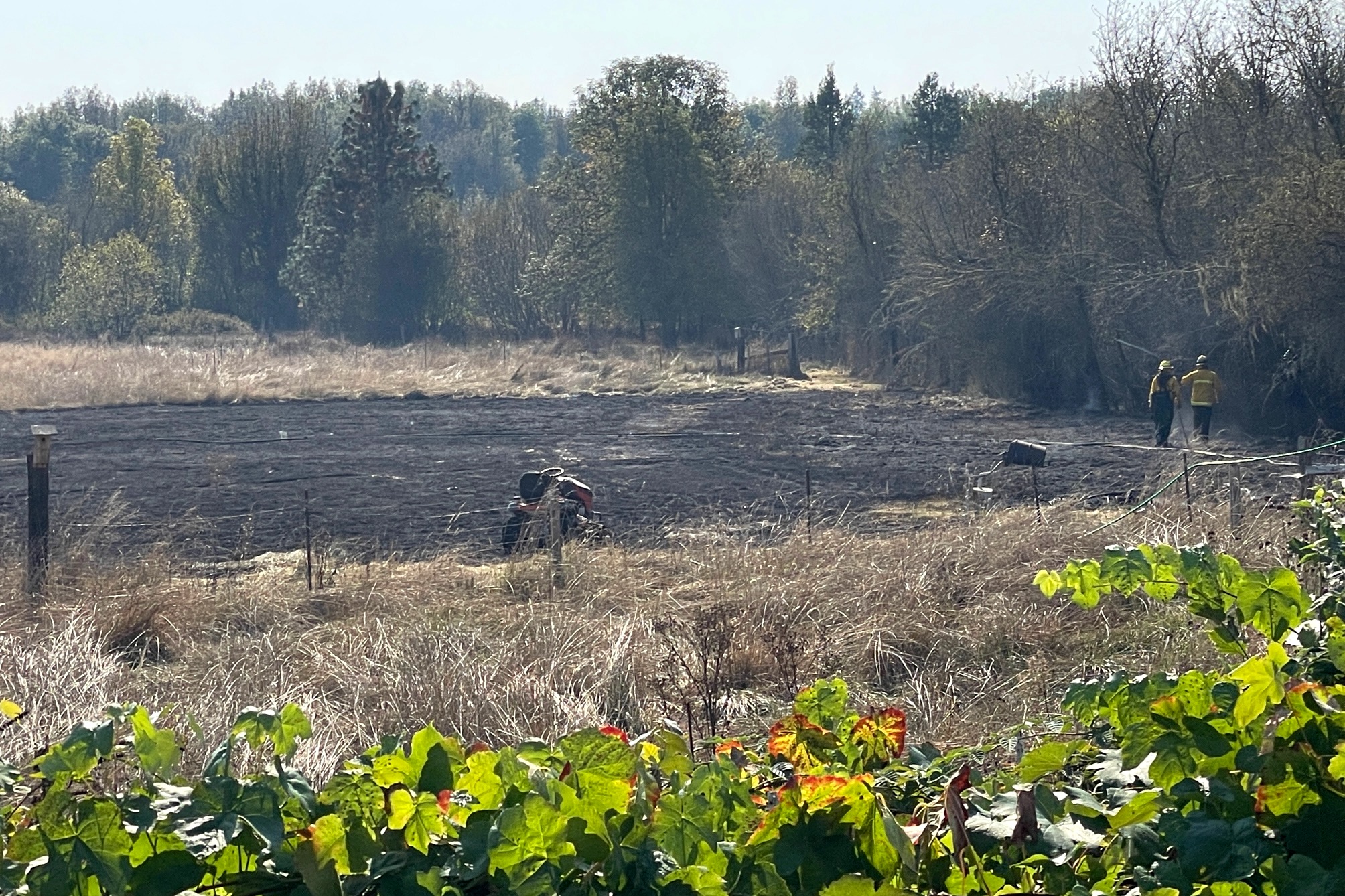 Grass fire breaks out behind residence southeast of Philomath