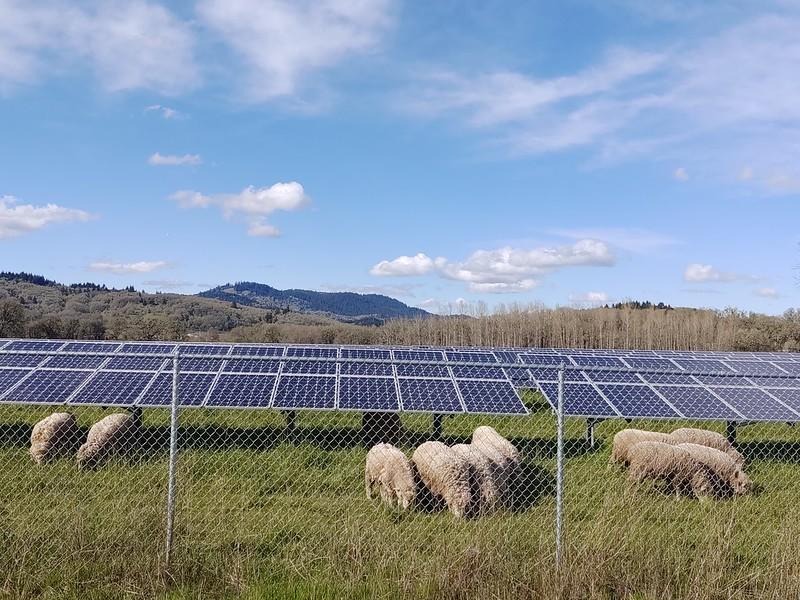 Proposal for Oregon's first large-scale solar park and farm meets opposition - Vimarsana News