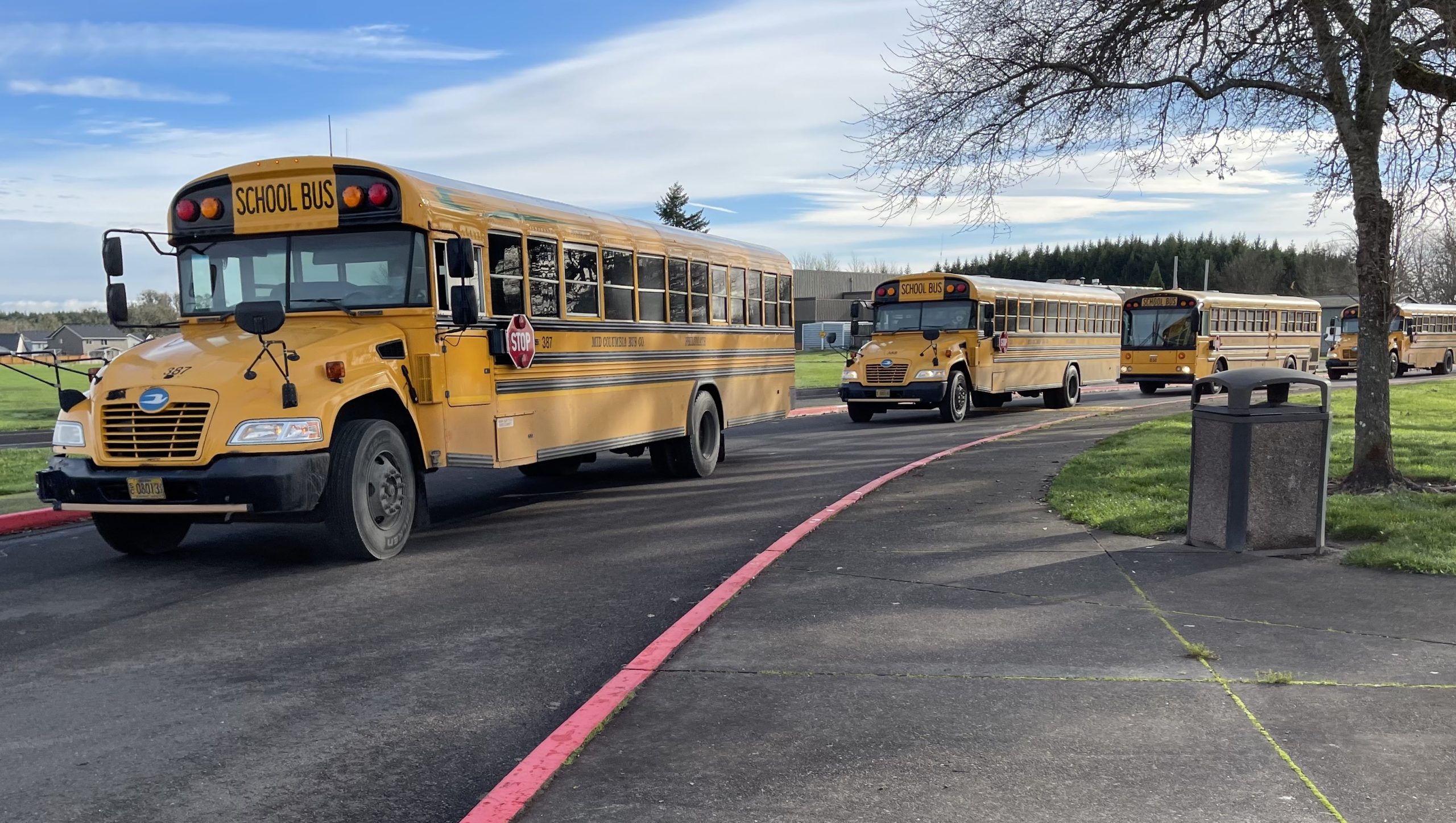 Philomath schools seeing rising enrollment numbers Philomath News