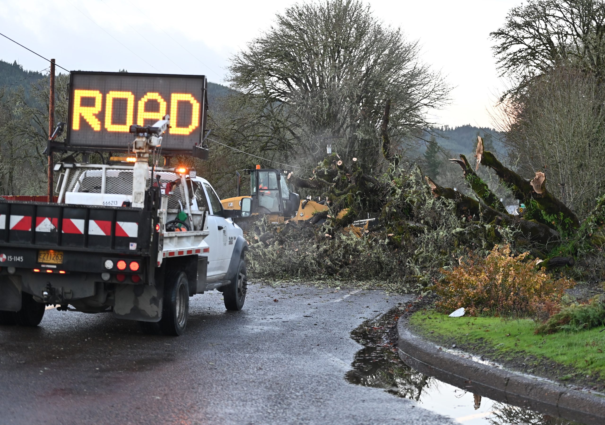 Storm downs trees, knocks out power in Philomath area - Philomath News