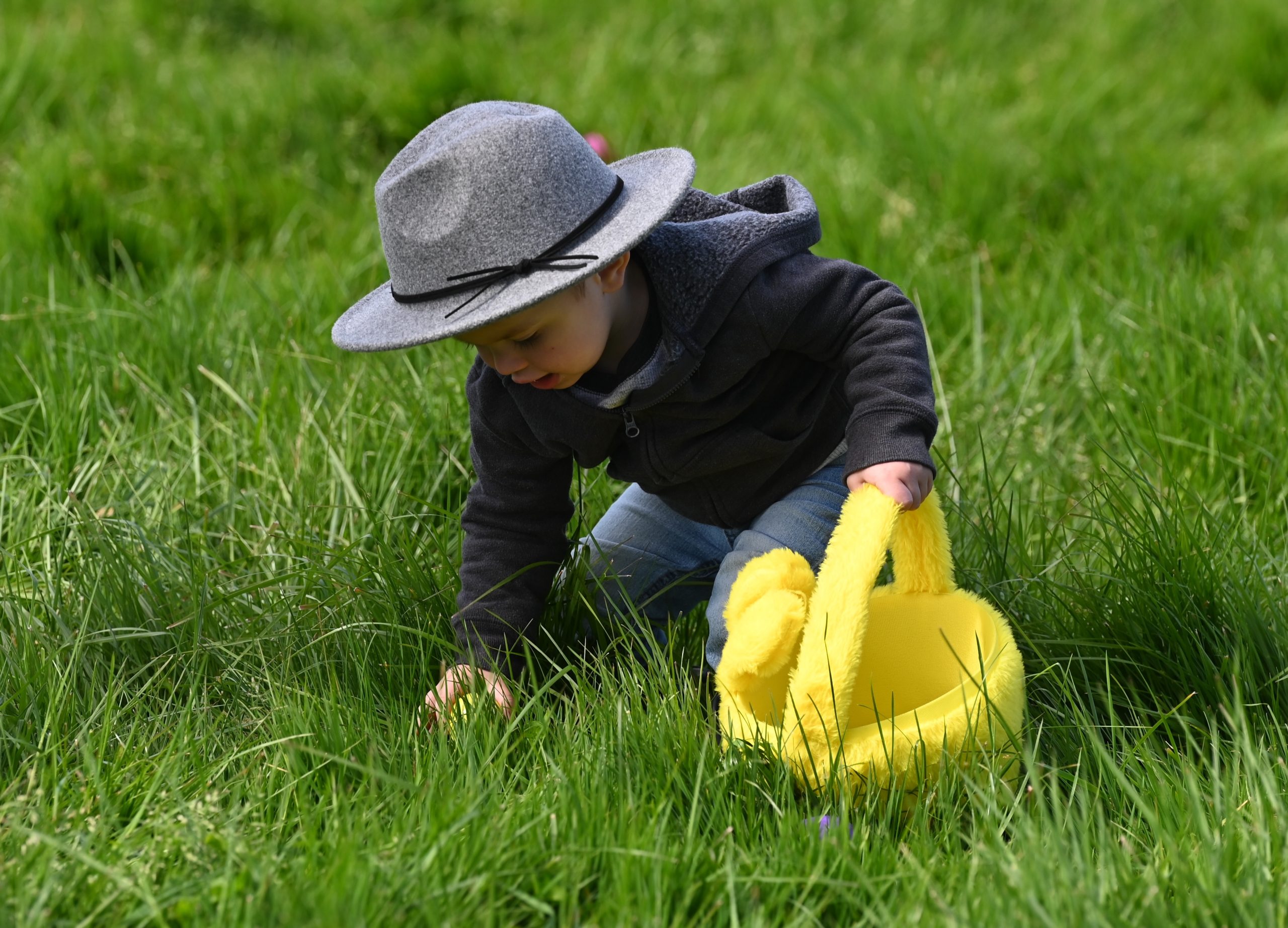 Community Easter Egg Hunt returns to rodeo grounds on Saturday ...