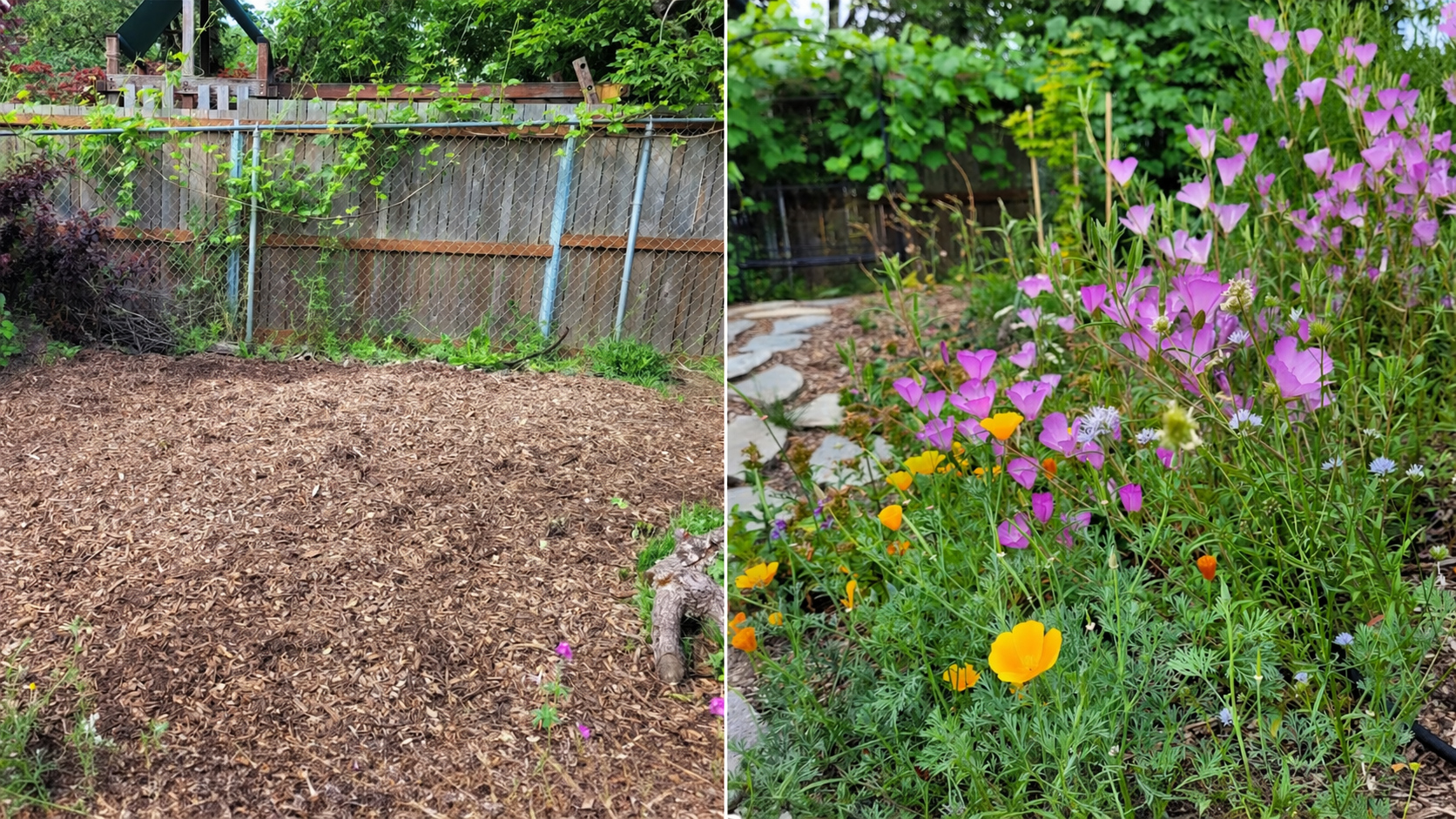 Nature Neighbors program aims to turn small Benton County yards into wildlife habitat
