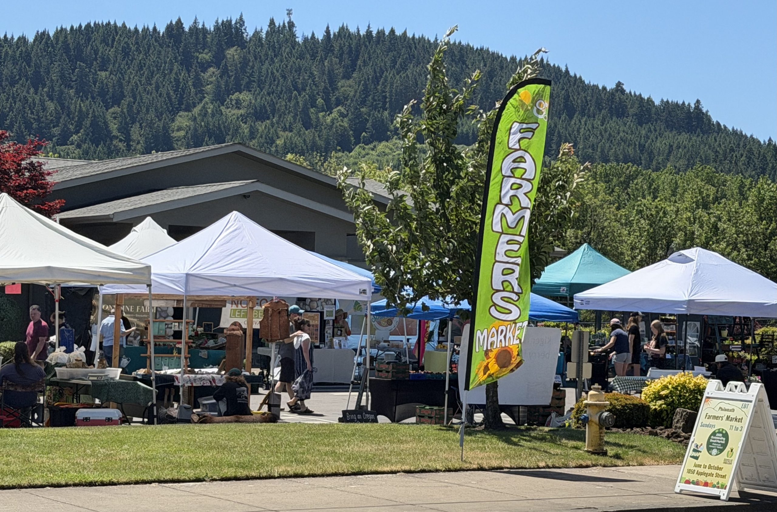City Council proclaims National Farmers Market Week - Philomath News