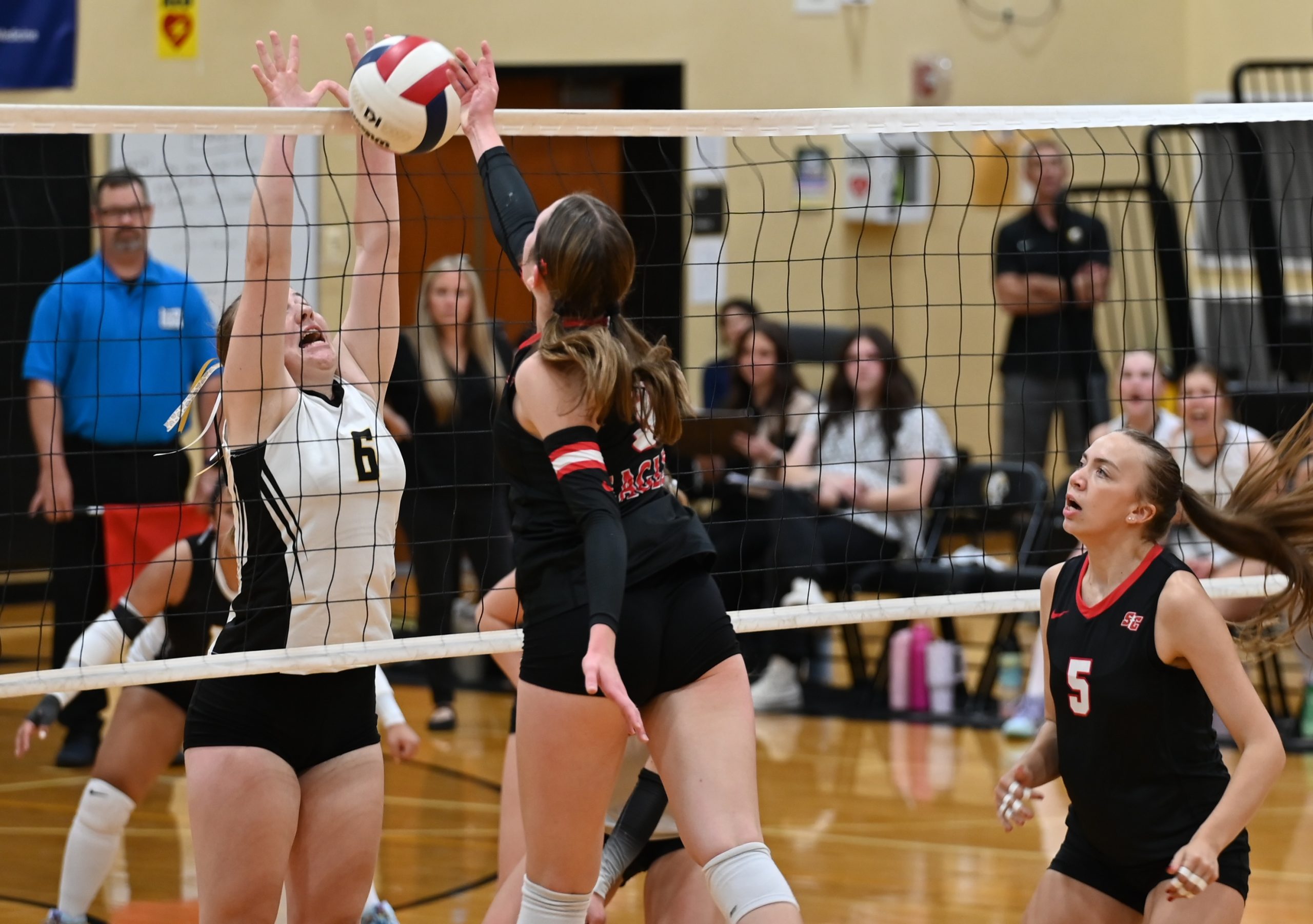 Philomath High picks up volleyball win at weekend tournament ...